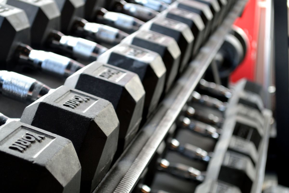 Are Dumbbells Or Barbells Better For Building Muscle?